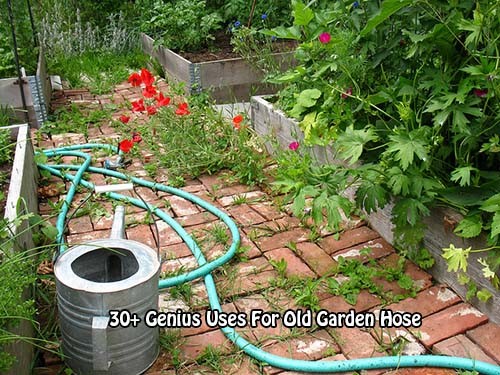 30+ Genius Uses For Old Garden Hose