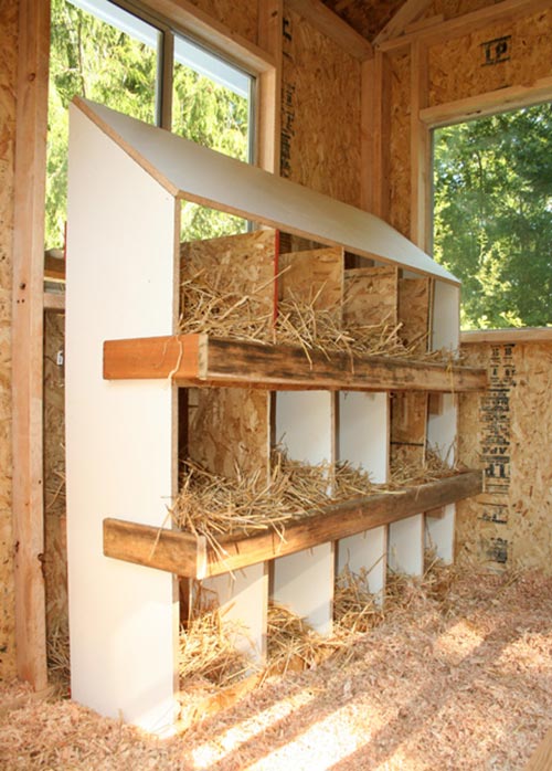 Large chicken coop with nesting box