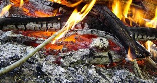 30 ways you have never considered using wood ash