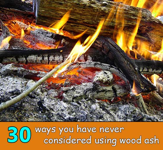 30 ways you have never considered using wood ash