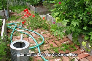 30+ Genius Uses For Old Garden Hose