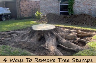 4 Ways To Remove Tree Stumps