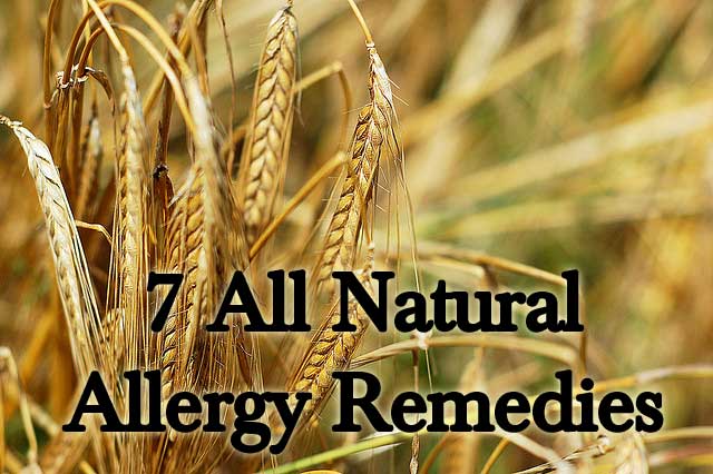 7 All Natural Allergy Remedies