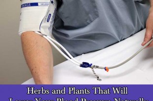 Herbs and Plants That Will Lower Your Blood Pressure Naturally
