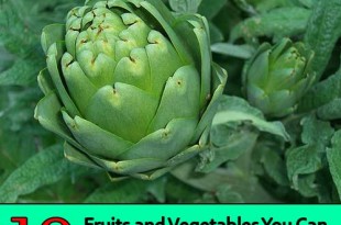 10 Fruits and Vegetables You Can Plant Once and Enjoy Forever!