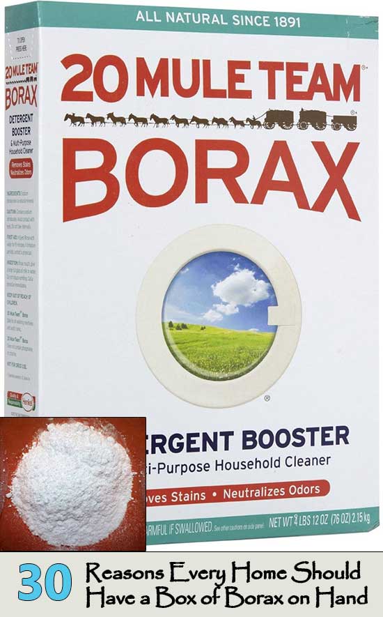 30 Reasons Every Home Should Have a Box of Borax on Hand