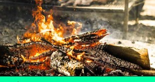 6 Practical Uses for Wood Ash Around the Homestead