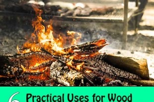 6 Practical Uses for Wood Ash Around the Homestead