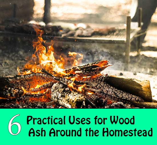 6 Practical Uses for Wood Ash Around the Homestead