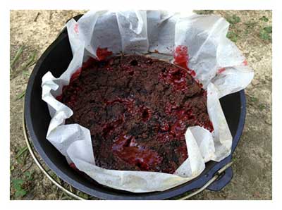 Campfire Dump Cake