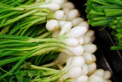 Scallions