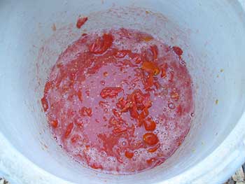 Tomato Paste