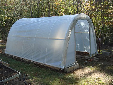 $50 Greenhouse