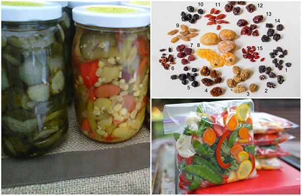 6 Ways to Preserve Your Fruit and Vegetable Harvest