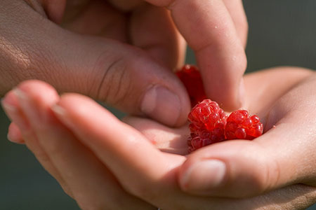 Share your spoils with your neighbors (but before they spoil).