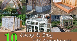 Top 10 Cheap & Easy DIY Greenhouses