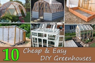 Top 10 Cheap & Easy DIY Greenhouses