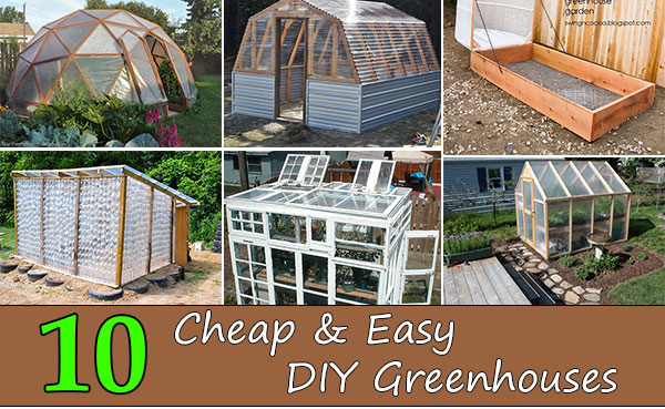 Top 10 Cheap Easy Diy Greenhouses Home And Gardening Ideas