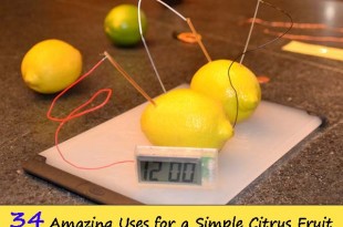 Living Better With Lemons: 34 Amazing Uses for a Simple Citrus Fruit