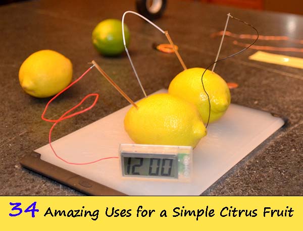 Living Better With Lemons: 34 Amazing Uses for a Simple Citrus Fruit