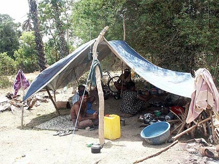 Build A Shelter With A Roof