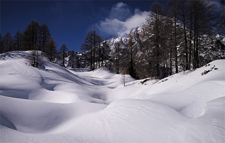 Eat Lots Of Snow To Re hydrate