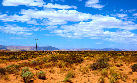 Find Water To Survive In A Desert