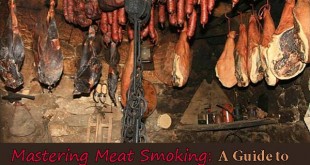 Mastering Meat Smoking: A Guide to Professional Results with Home Equipment