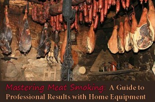 Mastering Meat Smoking: A Guide to Professional Results with Home Equipment
