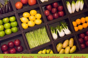 Storing Fruits, Vegetables, and Herbs