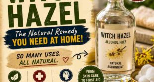 Wonderful Witch Hazel