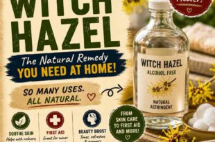 Wonderful Witch Hazel