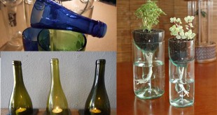 How to Easily Cut Glass Bottles