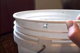 How To Make A 5 Gallon Self Resetting Mouse Trap Home And Gardening