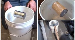 How To Make A 5 Gallon, Self-Resetting Mouse Trap