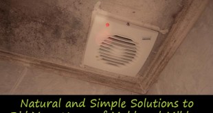 Natural and Simple Solutions to Rid Your Home of Mold and Mildew