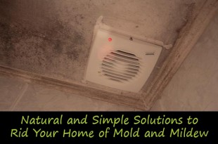 Natural and Simple Solutions to Rid Your Home of Mold and Mildew