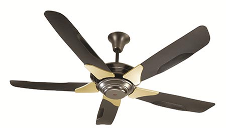 Ceiling fans