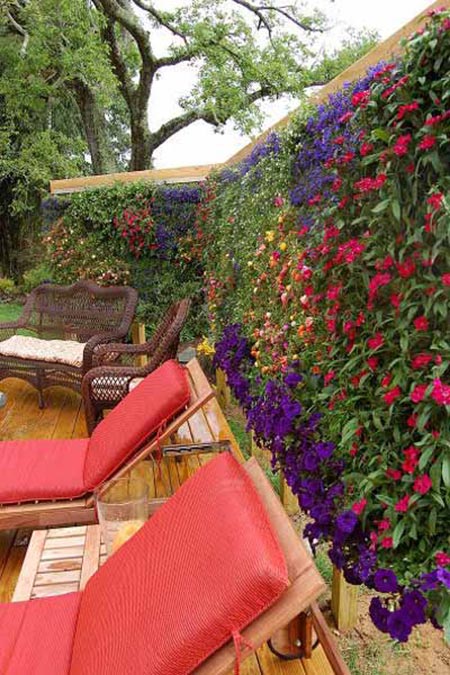 Green Privacy Wall