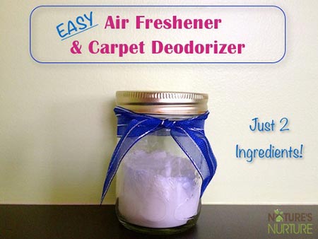 Homemade Air Fresheners: Room & Carpet Deodorizers