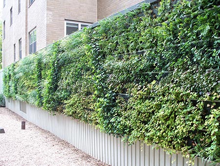 The Ultimate Guide To Living Green Walls -