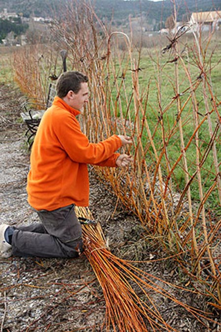 photo:alternative-energy-gardning.blogspot.com