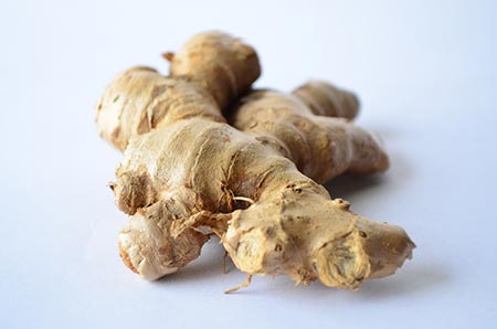 growing-ginger