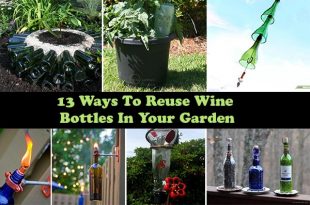 13 Ways To Reuse Wine Bottles In Your Garden