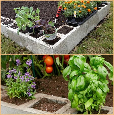 Cement Block Raised Bed 