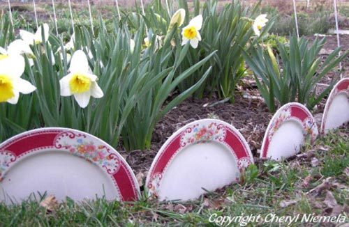 China plate garden border