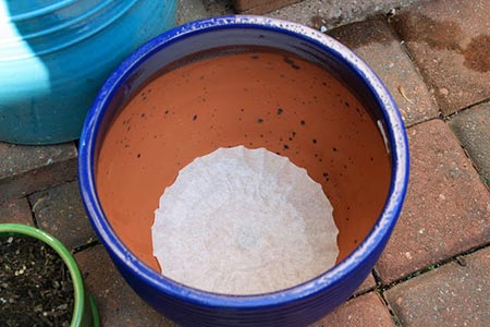 Line Pots with Coffee Filters