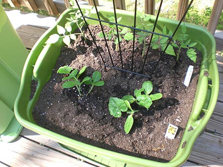 Rubbermaid Container Garden 