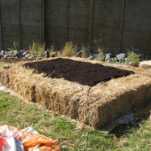 Straw bale garden bed edging