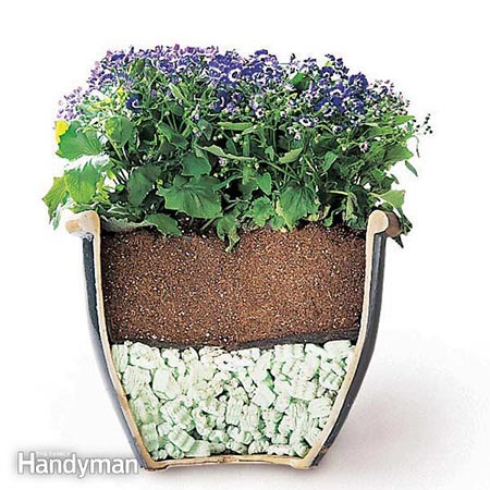 Tips for Moving Heavy Potted Plants: